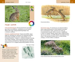 Galeria - zdjęcie nr. 2 - Wielki przewodnik po świecie przyrody. Zwierzęta i rośliny