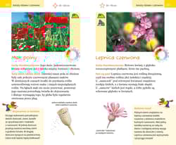 Galeria - zdjęcie nr. 3 - Wielki przewodnik po świecie przyrody. Zwierzęta i rośliny