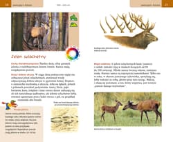 Galeria - zdjęcie nr. 4 - Wielki przewodnik po świecie przyrody. Zwierzęta i rośliny