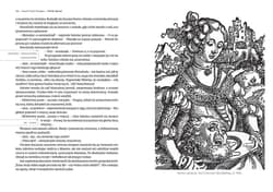 Galeria - zdjęcie nr. 2 - Wielki Rybak