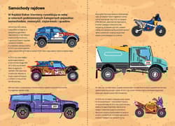 Galeria - zdjęcie nr. 2 - Wielki Wyścig Legendy motosportu