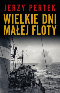 Wielkie dni małej floty - ebook