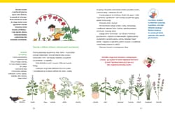 Galeria - zdjęcie nr. 3 - Wielkie gotowanie na ulicy Czereśniowej. Przepisy na cztery pory roku