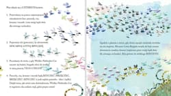 Galeria - zdjęcie nr. 2 - Wielkie Niebieskie Coś