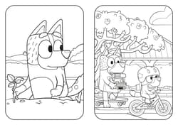 Galeria - zdjęcie nr. 2 - Wielkie podwórko. Bluey. Wesoła kolorowanka