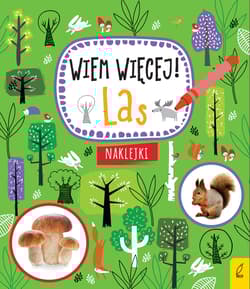Wiem więcej Las