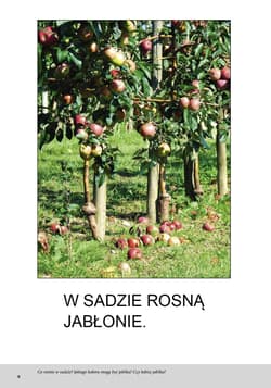 Galeria - zdjęcie nr. 4 - Wieś Bardzo proste czytanki