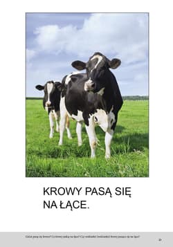 Galeria - zdjęcie nr. 2 - Wieś Bardzo proste czytanki