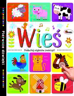 Wieś Pierwsze dźwięki - Natalia Kawałko-Dzikowska