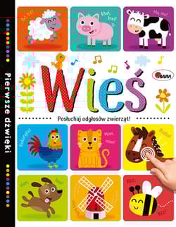 Wieś Pierwsze dźwięki - Natalia Kawałko-Dzikowska