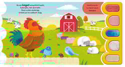 Galeria - zdjęcie nr. 2 - Wieś. Sensoryka maluszka