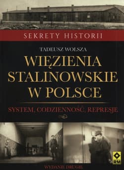 Więzienia stalinowskie w Polsce System, codzienność, represje - Tadeusz Wolsza
