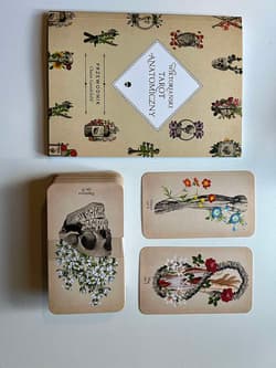 Galeria - zdjęcie nr. 2 - Wiktoriański tarot anatomiczny. Współczesny przewodnik czytania tarota z talią kart