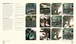 Galeria - zdjęcie nr. 2 - Wilderness Axe Skills and Campcraft