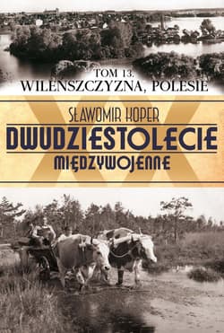 Wileńszczyzna Polesie. Tom 13 - Sławomir Koper