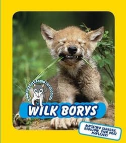 Wilk Borys. Świat dzikich maluchów - Praca zbiorowa