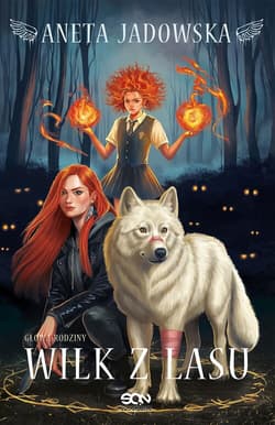 Wilk z lasu - Aneta Jadowska