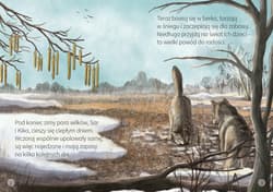 Galeria - zdjęcie nr. 2 - Wilki. Młodzi przyrodnicy