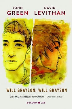 Will Grayson, Will Grayson - John Green, David  Levithan