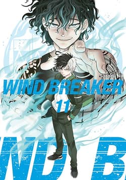 Wind Breaker. Tom 11 - Satoru Nii
