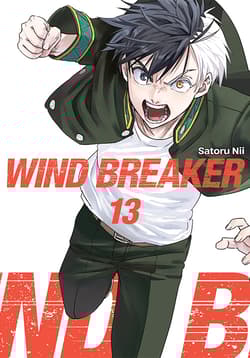 Wind Breaker. Tom 13 - Satoru Nii