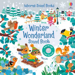 Winter Wonderland Sound Book wer. angielska - Sam Taplin, Federica Iossa