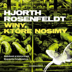 Winy, które nosimy - audiobook - Hans  Rosenfeldt, Michael Hjorth