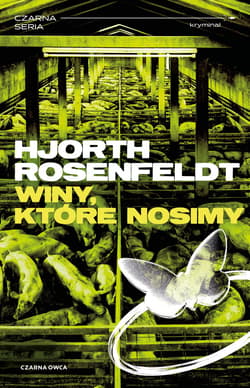 Winy, które nosimy - ebook - Hans  Rosenfeldt, Michael Hjorth