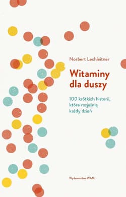 Witaminy dla duszy 100 krótkich historii, które rozjaśnią każdy dzień - Norbert Lechleitner