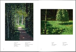 Galeria - zdjęcie nr. 4 - Witkiewicz. Malarstwo