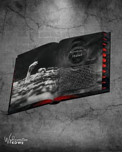 Galeria - zdjęcie nr. 4 - Wizjonerka