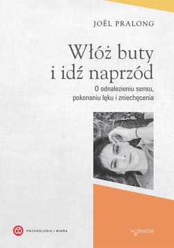 Włóż buty i idź naprzód. O odnalezieniu sensu, pokonaniu lęku i zniechęcenia - ebook - Joël Pralong