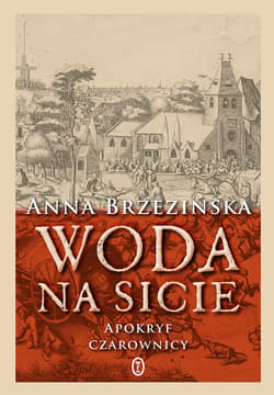 Woda na sicie - ebook
