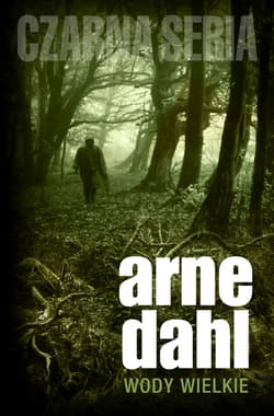 Wody wielkie - ebook