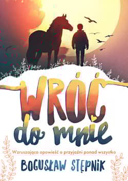 Wróć do mnie - Bogusław Stępnik
