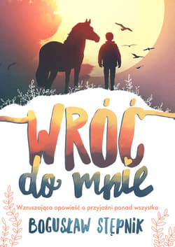 Wróć do mnie - ebook - Bogusław Stępnik
