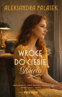 Wrócę do ciebie, Anielo - ebook - Aleksandra Palasek