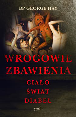 Wrogowie zbawienia - ebook - George Hay