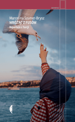 Wróżąc z fusów - ebook