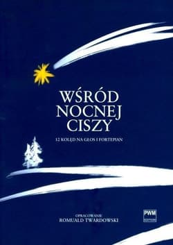 Wśród nocnej ciszy - Romuald Twardowski