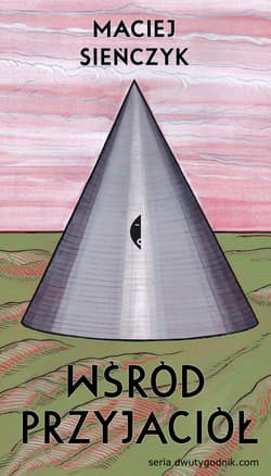 Wśród przyjaciół - ebook - Maciej Sieńczyk