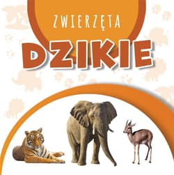 Wstęgi kartonowe. Dziekie Zwierzęta - Praca zbiorowa