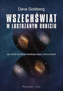 Wszechświat w lustrzanym odbiciu. Jak ukryte symetrie kształtują naszą rzeczywistość - Dave Goldberg, Dave Golberg