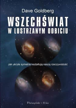 Wszechświat w lustrzanym odbiciu. Jak ukryte symetrie kształtują naszą rzeczywistość - Dave Goldberg, Dave Golberg