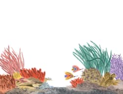 Galeria - zdjęcie nr. 2 - Wszędzie widzę morze