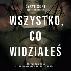 Wszystko, co widziałeś - audiobook
