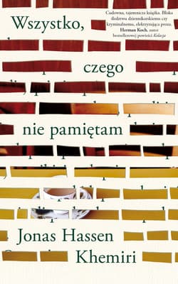 Wszystko, czego nie pamiętam - ebook