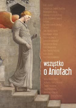 Wszystko o aniołach - Urszula Wrońska