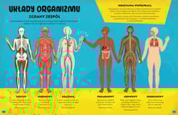 Galeria - zdjęcie nr. 2 - Wszystko o CIELE