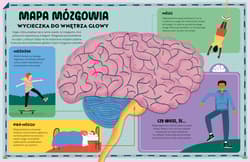 Galeria - zdjęcie nr. 2 - Wszystko o MÓZGU